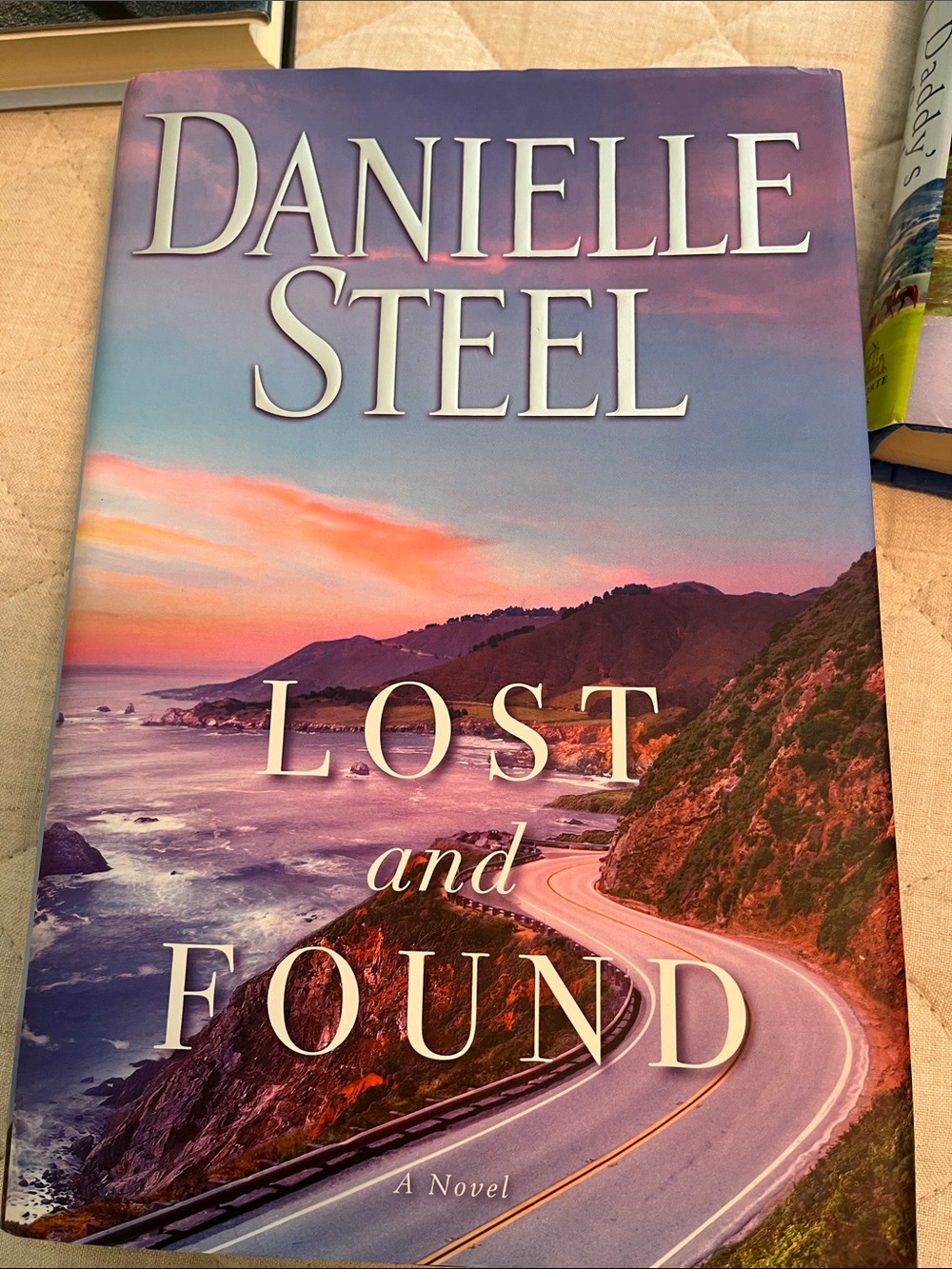 Danielle Steel Bundle - Picture 6 of 9